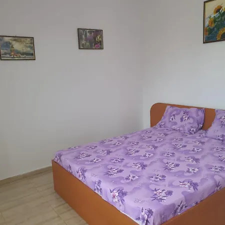 Casa Mihai Guest house