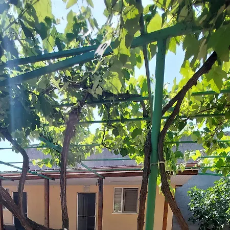 Casa Mihai Guest house